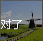 郁金香大风车荷兰最具有代表性的两种特色