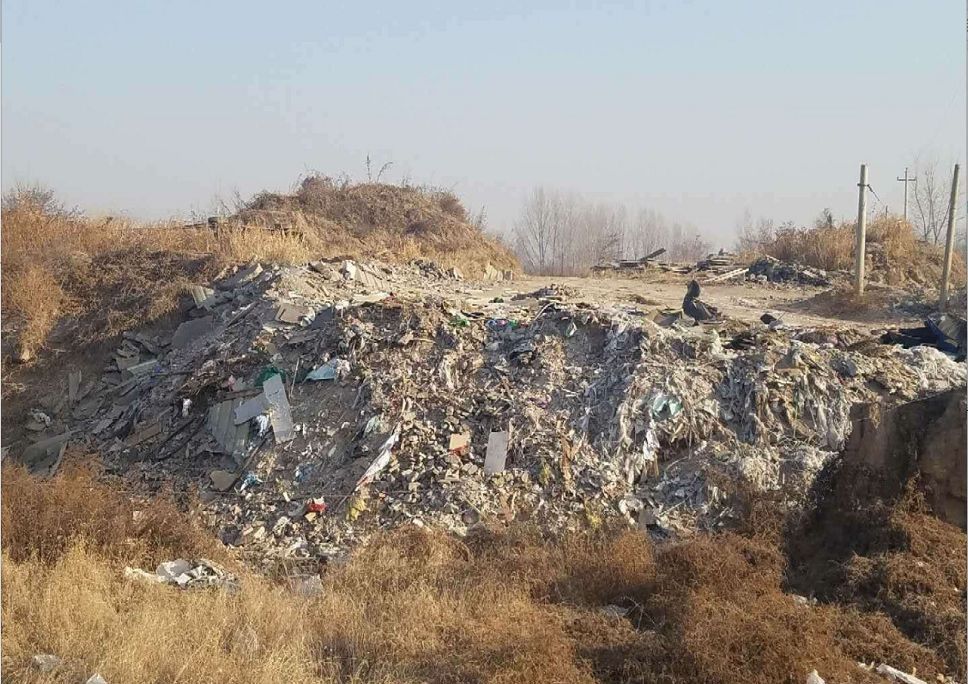 猜成语人钱什么鸟_四个图猜成语,我只猜对了两个,大家快来帮忙啊!