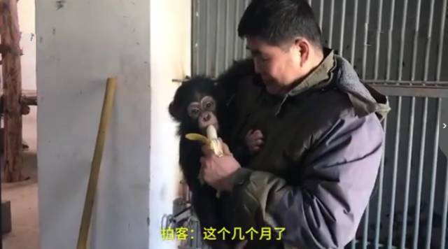 疯狂猜成语什么正_看图猜成语:堂堂正正做人,干干净净做事_网易订阅