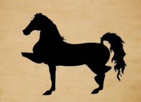 成语玩命猜一匹没有前蹄的马答案是什么?