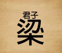 成语玩命猜君子梁答案是什么?